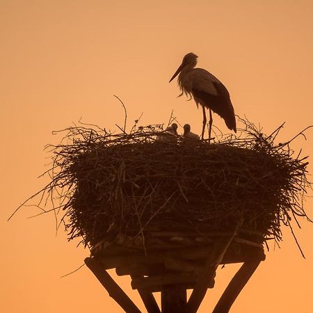 Piaski Agroturystyka Dolina23ヴィラ エクステリア 写真